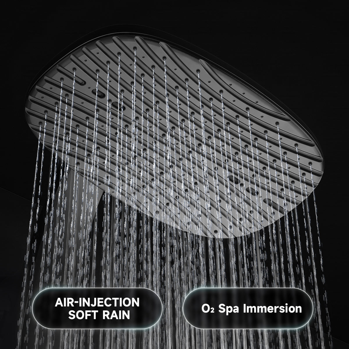 Shower Head with Handheld, High Pressure Showerhead, Black